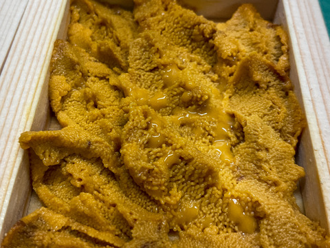 【入手困難】由良の黒ウニ/淡路島/本州ウニの最高峰【上】【小箱】