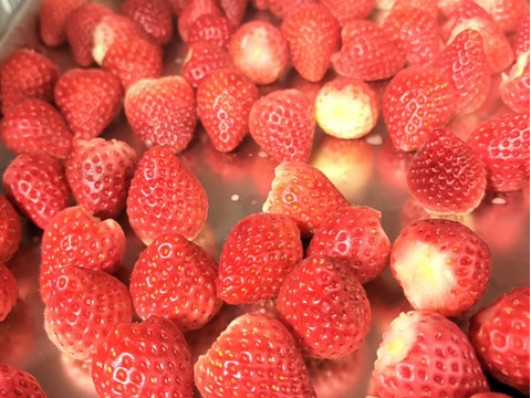 急速冷凍いちごさん1kg