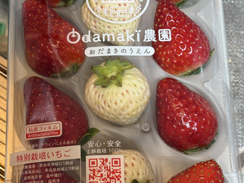 お祝いに！紅白いちご『古都華&天使のいちご®』特別栽培農産物　2パック1箱　朝採り！農薬削減栽培！