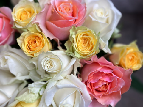 【4/20＆4/21＆4/22お届け】限定3束✿たくさん採花できました!レモンイエロー＆ホワイト＆オレンジ15本セット（ご自宅用簡易ラッピング）