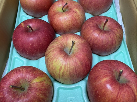 2箱分蜜入りチェック済み！超大玉3キロ6-9玉×2箱葉取らず農薬半減樹上完熟蜜入りサンふじ　りんご