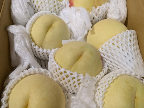 激レア‼️【今年最後の純白桃】甘々燦々！！3kg