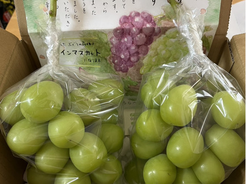 『シャインマスカット』  大玉ぷりっと弾ける甘さ！種なし皮ごとOK！1.2kg
