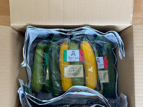 【新鮮でみずみずしい】京都産ズッキーニ　1kgセット（緑のみ4〜6本）