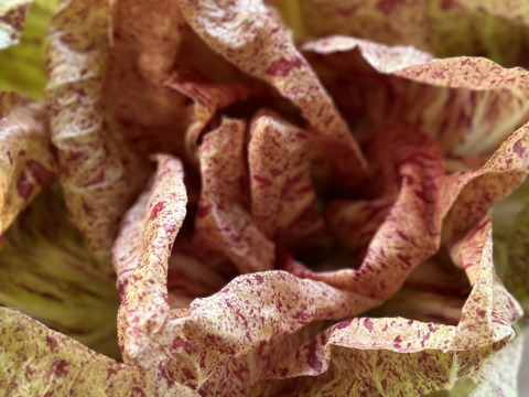 お料理の幅が広がる！季節の西洋野菜Italian selection 80サイズ