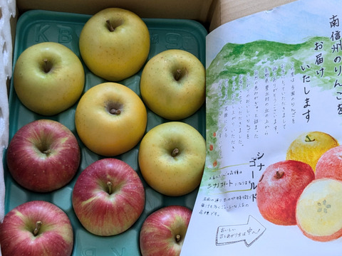 シナノスイート&シナノゴールド食べ比べセット♡信州りんご人気品種！ 家庭用