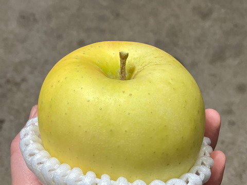 りんご いろいろBOX （2㎏）