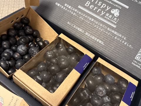 【国産生ブルーベリー】100g×3pc〈トヨヒルセット【C】〉