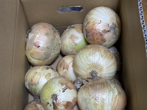 【予約商品】糖度９〜10度！! 甘い！！　淡路島スイートオニオン たまねぎ(5キロ)