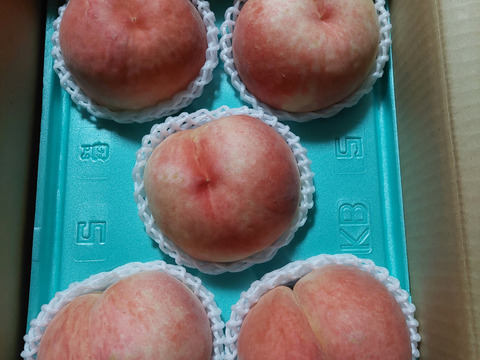 おどろくほど硬くて大きい「おどろき」桃　８０サイズ箱　優品（ご自宅用）