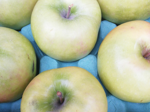 【総決算　RED SALE】グラニースミス　値下げしました。　青りんご　訳あり　家庭専用ご好評販売中、3キロコースアップルパイにりんごジャムに最適！！
