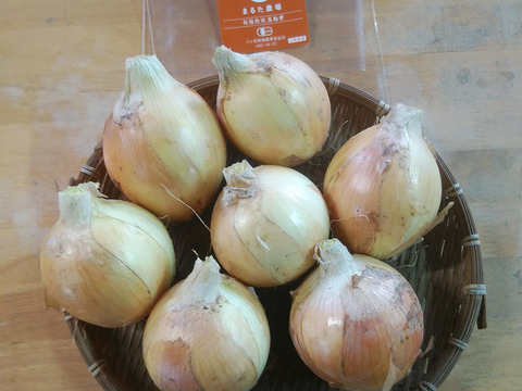 シャキシャキ！甘くて食べやすいたまねぎ バラサイズ(１０㎏)