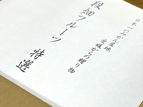 【贈答品】愛媛の段畑まどんな　9〜12玉【冬ギフト】(紅まどんなと同品種)