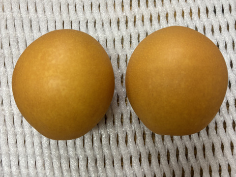 【とにかく甘い‼️】にっこり梨贈答用約2.5kg(大玉3-5個)✨️新高と豊水の交配種✨️甘くてキメが細かく酸味はほとんどありません‼️お届け後の日持ちを良くするためクール便で発送😋