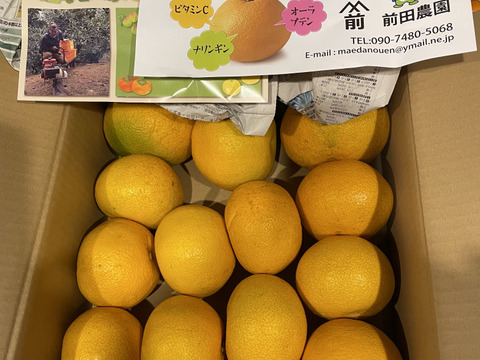 【特別栽培】和歌山県産　八朔(5kg)