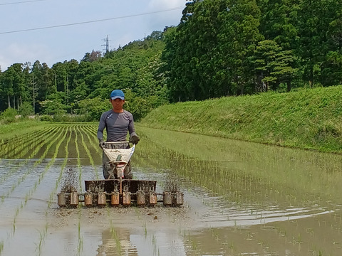 自然栽培　ハッピーヒル　１０ｋｇ　農薬不使用「令和６年産」