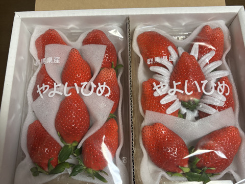 ⭐️奇跡のやよいひめ⭐️大玉『群馬いちご』320g×4トレー（2箱）