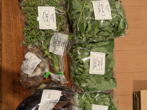 ふたばたけ　畑から直送！　農薬不使用！　旬のこだわり野菜セット　７～１０種類