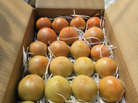 おいしさと環境配慮のハーモニ―『The夏秋とまと』(夏/青-ピンク/A品/4キロ前後)