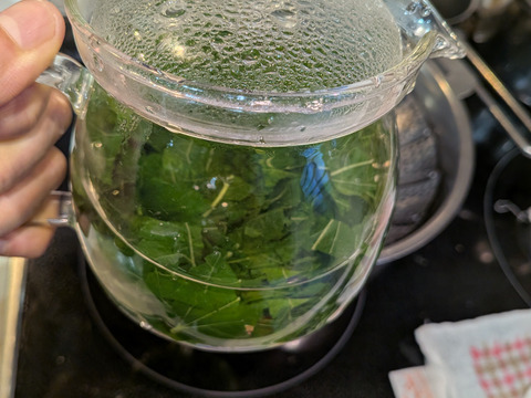 桑の葉🌿30枚🌿桑の葉 生葉🌿特有成分DNJ（1-デオキシノジリマイシン）が食事の糖質分解を抑え食後の血糖値上昇を抑える効果☆採れたてをお届け☆ゆうパック