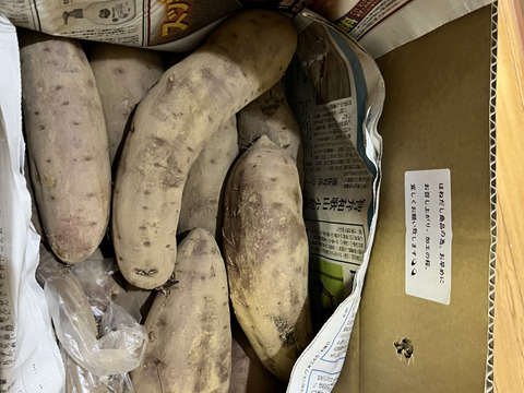 「はねだし」でも美味しい　極甘‼️【紅はるか】4.8kg