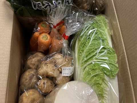 ♪食べきり♪『農薬、化学肥料不使用』【1~2人前】季節の野菜SSセット（5～6品）「群馬県高崎産」