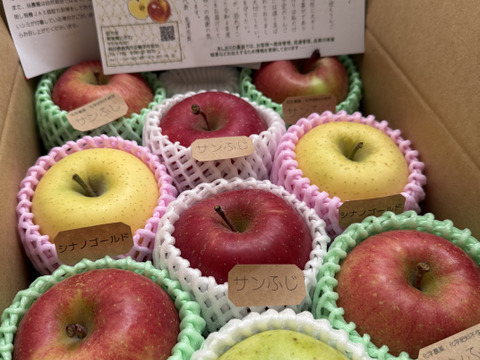 ☆農薬不使用りんご☆と特別栽培りんご(品種おまかせ)詰め合わせ3キロ（８〜１２玉）