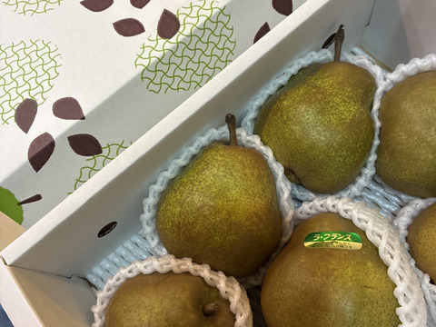 【ラフランス専業農家が贈る🍐】ラ・フランス2kg 特秀 7〜8玉入り