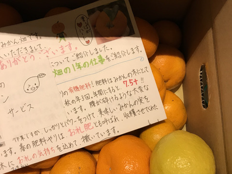 有田みかん【サイズ混合】3.3kg (箱込)