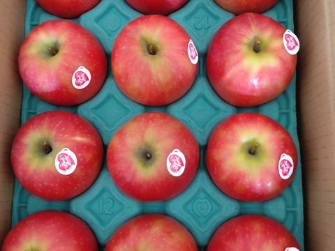 発送中🍎 ピンクレディ®︎3キロ箱 長野県 信州 安曇野 リンゴ 幻 幻の
