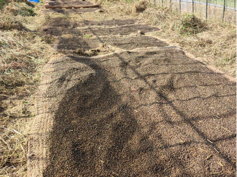 ナッツの香り！天日干し自然栽培『蕎麦粉』南阿蘇村在来種（500g）