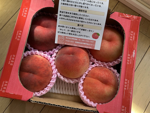 🍑桃の王様　川中島白桃　1.5kg　5玉前後　【ASIAGAP認証農場：津軽農園】8月下旬　採れたて農家直送【朝どれ】