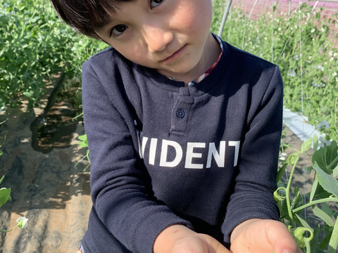 【アースデー企画】旬の訳あり野菜セット※おススメレシピ付き‼