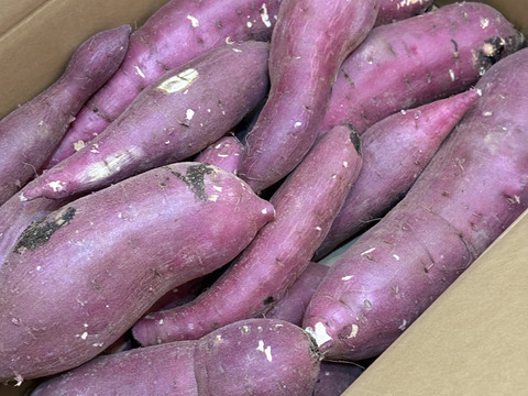 訳あり！熟成紅はるか　5kg  さつまいも