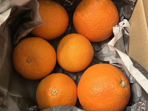 【人気品種食べ比べ】まどんな＋みかん【各2kg】家庭用