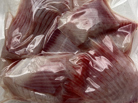 秋田県産　‼️エイヒレBOX‼️［ドブカスべ、水カスべ］−60℃真空急速冷凍