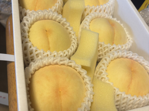 岡山白桃シリーズ随一の高糖度！【川中島白桃・白皇】（ご家庭用・約2kg）
