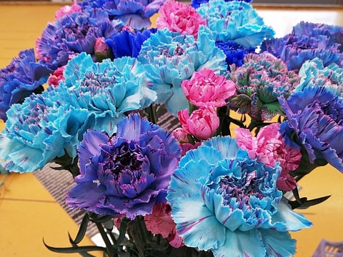 青いカーネーション花束 ｍｉｘ２５本 千葉県産 食べチョク 農家 漁師の産直ネット通販 旬の食材を生産者直送