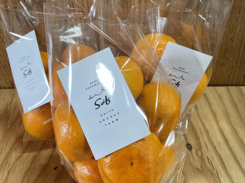 お正月蜜柑‼️愛媛産　南柑20号　秀品＋家庭用込み8kg高糖度 愛媛県産 温州みかん・南柑20号 ご家庭用3kg（箱込）：愛媛県