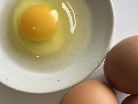 国内流通約5％　純国産鶏「もみじ」が産む大和高原の平飼い卵