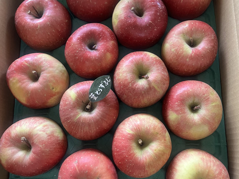 ★★新春セール★★🍎約5キロ🍎レビュー数1900件突破！！葉とらずふじ【家庭用】１３玉～２３玉 青森 りんご リンゴ 訳あり 商品ID165766