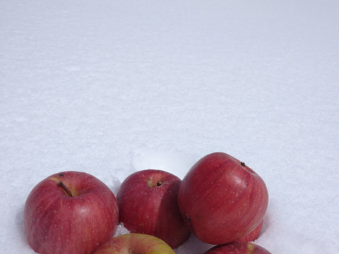 【1ヶ月限定販売】山ノ内産冬越えりんご フジ  天然雪貯蔵品！【6個】