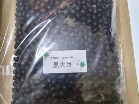 《メール便》ぽっけの黒大豆500㌘【北海道自然栽培】