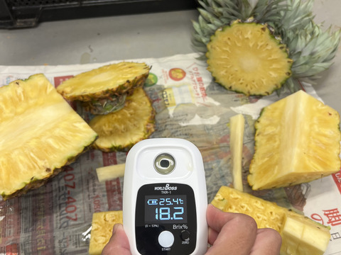 ゴールドバレル　農家直送　訳あり　3個セット(7〜8kg) 規格外】【まずはお試し！！】完熟パイナップル訳あり詰合せ3kg