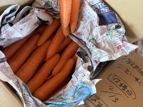 【化学農薬・化学肥料不使用】赤城の寒締めニンジン 約4.0kg・20～30本