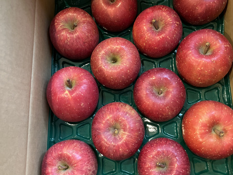 葉とらずサンふじ10k家庭用