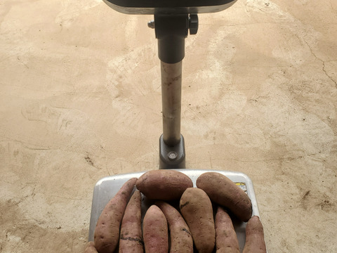 焼芋サイズ2.5kg/箱詰/土付　熟成べにはるか