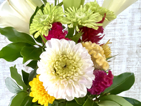 クール便【仏花／１束】清らかさと格調を備えた、故人を静かに偲びながら、心に安らぎをもたらす一束。プレゼントOK!花農家直送！