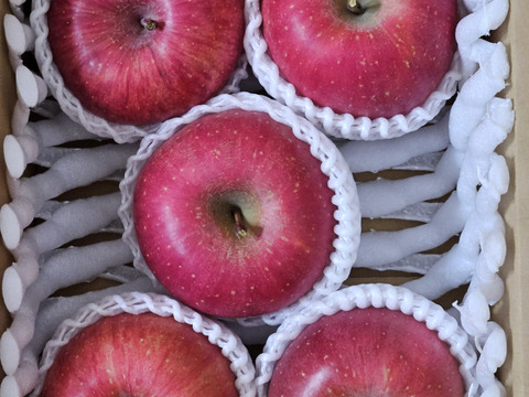 🍎日テレ出演でリピーター増産中🍎青森弘前ブランドが誇るジューシー『霜降り林檎』お試し特価キャンペーンリンゴ【冬ギフト】【家庭用・贈答用】【1月上旬予約】