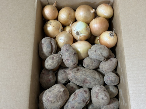 【訳あり】北海道産グランドペチカ10キロ